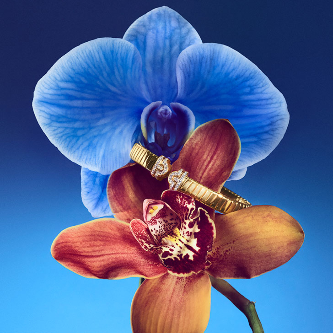 MDD_flower